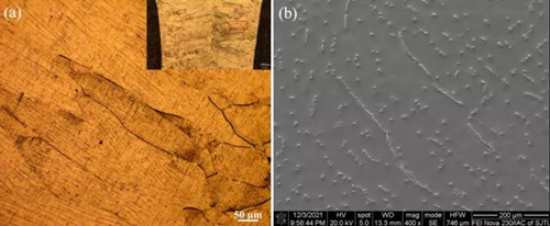 1644214487390530.jpg Ti180 Microstructure of the middle weld zone of electron beam welding joint.jpg