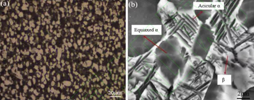 1644214558108034.jpg Ti180 Microstructure of base metal.jpg