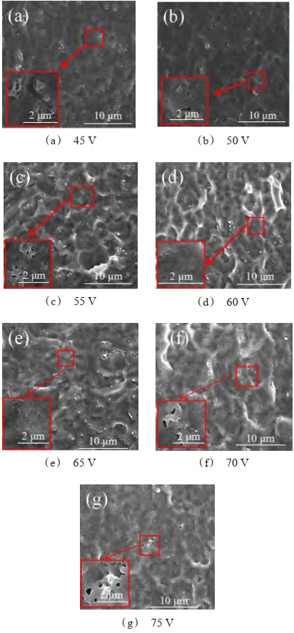 1656406818667818.jpg Morphology of the film under different oxidation voltages.jpg